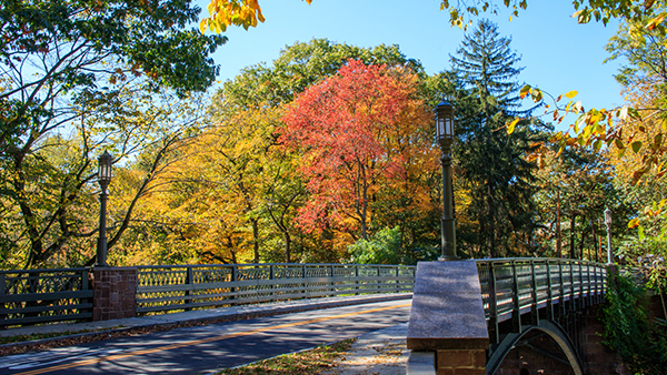 Find a franchise for sale in Connecticut