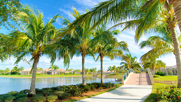 Find a franchise for sale in Florida