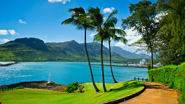 Buy a Franchise in Hawaii!