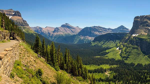 Find a franchise for sale in Montana