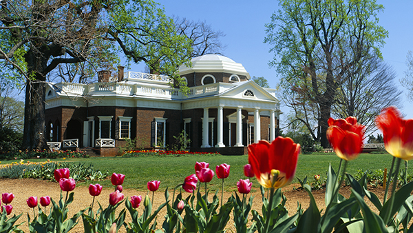 Find a franchise for sale in Virginia