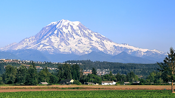 Find a franchise for sale in Washington