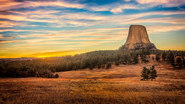 Start a franchise in Wyoming today!