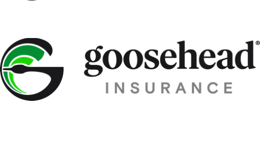 Goosehead Insurance franchise-image