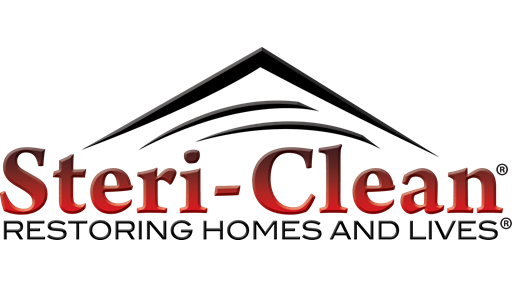 Steri-Clean fran-img
